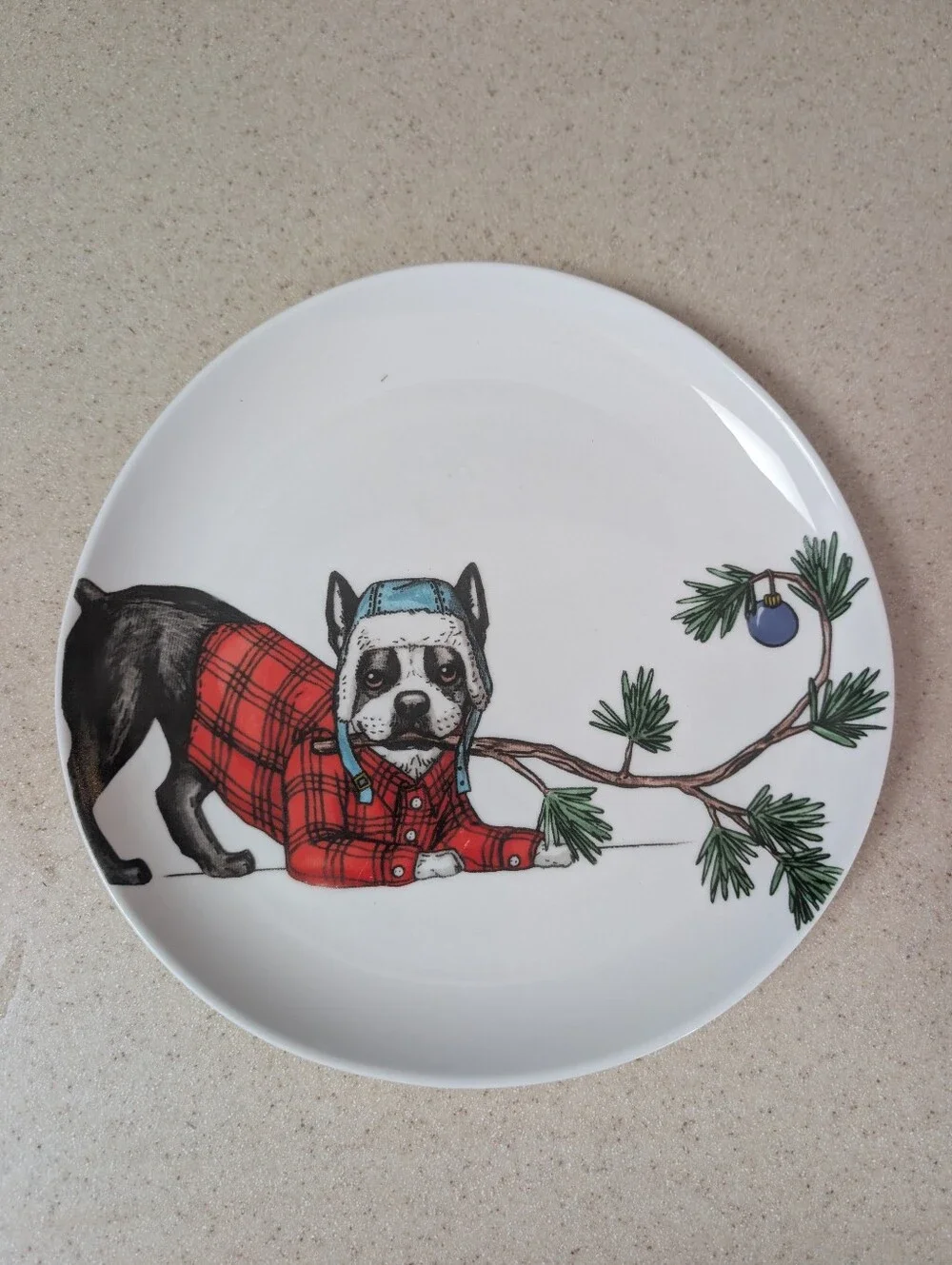West elm + Rachel Kozlowski Pet Plate with Red Plaid Dog Design